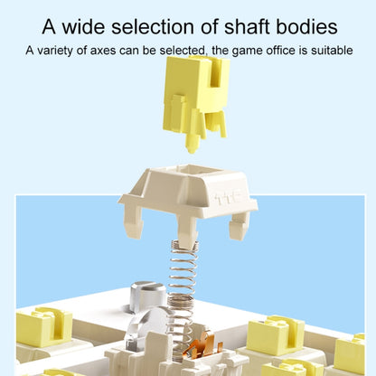 AULA F75 80 Keys Wired/2.4G/Bluetooth Three Model Customized RGB Mechanical Keyboard